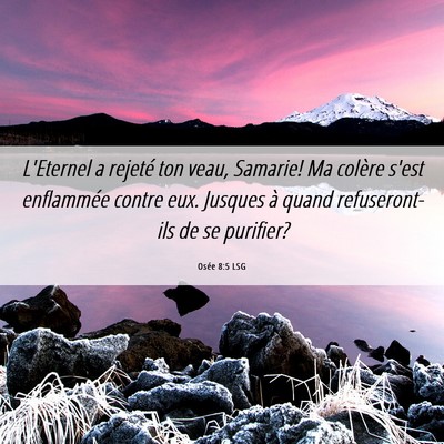 Picture 06 - Osée 8:5 LSG - L'Eternel a rejeté ton veau, Samarie! Ma colère - Bible Verse Picture