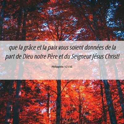 Picture 06 - Philippiens 1:2 LSG - que la grâce et la paix vous soient données de - Bible Verse Picture