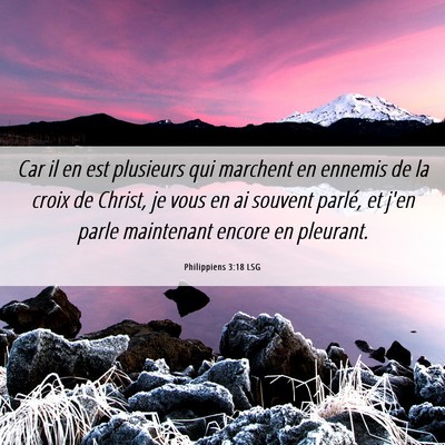 Picture 06 - Philippiens 3:18 LSG - Car il en est plusieurs qui marchent en ennemis - Bible Verse Picture