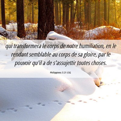 Picture 06 - Philippiens 3:21 LSG - qui transformera le corps de notre humiliation, - Bible Verse Picture