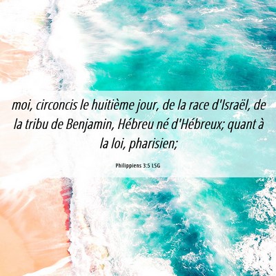 Picture 06 - Philippiens 3:5 LSG - moi, circoncis le huitième jour, de la race - Bible Verse Picture