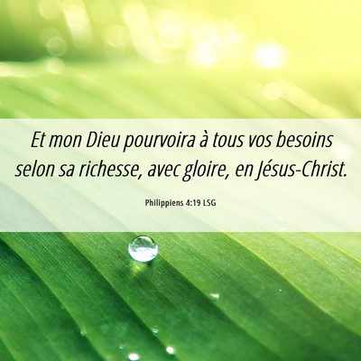 Picture 06 - Philippiens 4:19 LSG - Et mon Dieu pourvoira à tous vos besoins selon - Bible Verse Picture