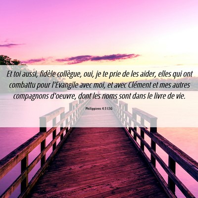 Picture 06 - Philippiens 4:3 LSG - Et toi aussi, fidèle collègue, oui, je te prie - Bible Verse Picture