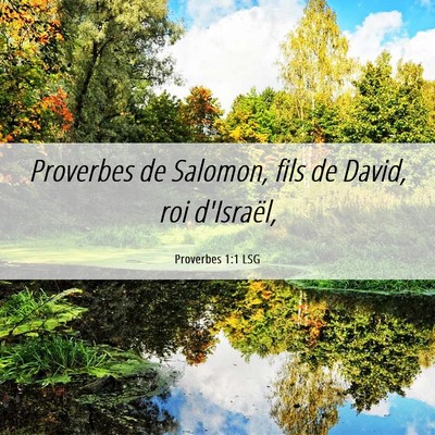 Picture 06 - Proverbes 1:1 LSG - Proverbes de Salomon, fils de David, roi - Bible Verse Picture