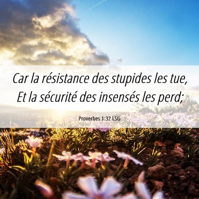 Picture 06 - Proverbes 1:32 LSG - Car la résistance des stupides les tue, Et la - Bible Verse Picture