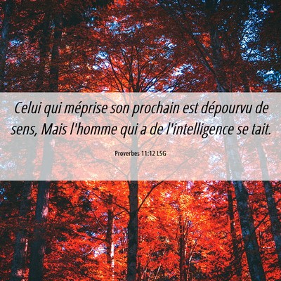 Picture 06 - Proverbes 11:12 LSG - Celui qui méprise son prochain est dépourvu de - Bible Verse Picture