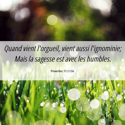 Picture 06 - Proverbes 11:2 LSG - Quand vient l'orgueil, vient aussi l'ignominie; - Bible Verse Picture