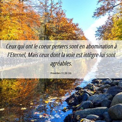 Picture 06 - Proverbes 11:20 LSG - Ceux qui ont le coeur pervers sont en abomination - Bible Verse Picture