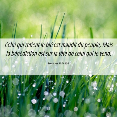 Picture 06 - Proverbes 11:26 LSG - Celui qui retient le blé est maudit du peuple, - Bible Verse Picture