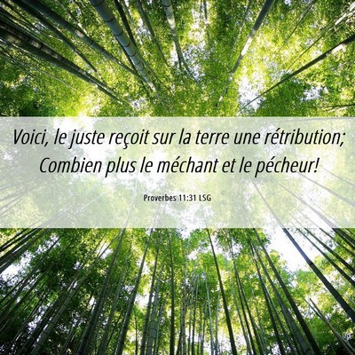 Picture 06 - Proverbes 11:31 LSG - Voici, le juste reçoit sur la terre une - Bible Verse Picture