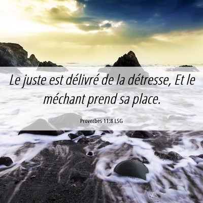 Picture 06 - Proverbes 11:8 LSG - Le juste est délivré de la détresse, Et le - Bible Verse Picture
