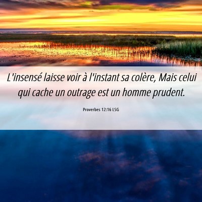 Picture 06 - Proverbes 12:16 LSG - L'insensé laisse voir à l'instant sa colère, - Bible Verse Picture