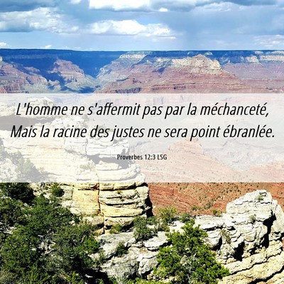 Picture 06 - Proverbes 12:3 LSG - L'homme ne s'affermit pas par la méchanceté, - Bible Verse Picture