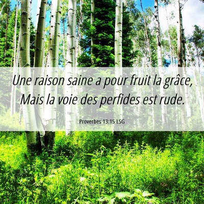 Picture 06 - Proverbes 13:15 LSG - Une raison saine a pour fruit la grâce, Mais la - Bible Verse Picture