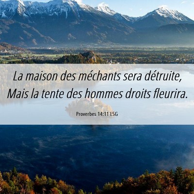 Picture 06 - Proverbes 14:11 LSG - La maison des méchants sera détruite, Mais la - Bible Verse Picture