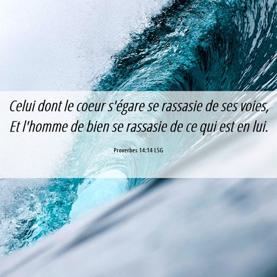 Picture 06 - Proverbes 14:14 LSG - Celui dont le coeur s'égare se rassasie de ses - Bible Verse Picture