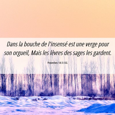 Picture 06 - Proverbes 14:3 LSG - Dans la bouche de l'insensé est une verge pour - Bible Verse Picture