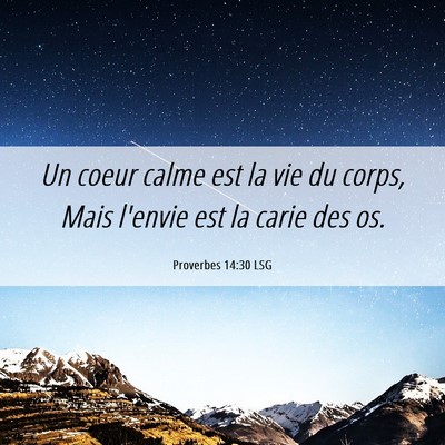 Picture 06 - Proverbes 14:30 LSG - Un coeur calme est la vie du corps, Mais l'envie - Bible Verse Picture