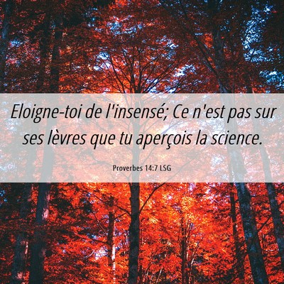 Picture 06 - Proverbes 14:7 LSG - Eloigne-toi de l'insensé; Ce n'est pas sur ses - Bible Verse Picture