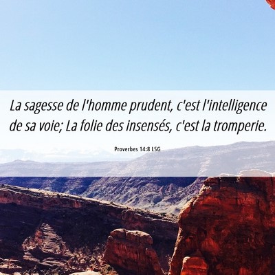 Picture 06 - Proverbes 14:8 LSG - La sagesse de l'homme prudent, c'est - Bible Verse Picture