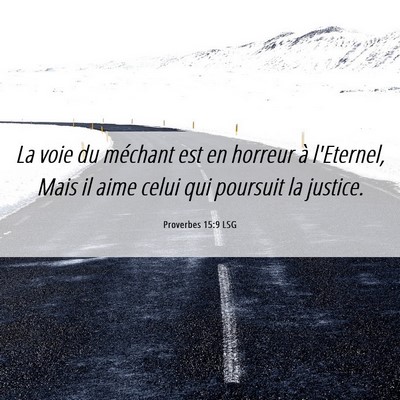 Picture 06 - Proverbes 15:9 LSG - La voie du méchant est en horreur à l'Eternel, - Bible Verse Picture