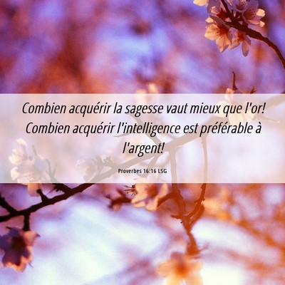 Picture 06 - Proverbes 16:16 LSG - Combien acquérir la sagesse vaut mieux que l'or! - Bible Verse Picture