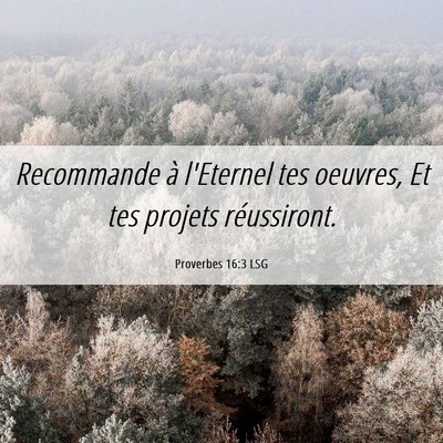 Picture 06 - Proverbes 16:3 LSG - Recommande à l'Eternel tes oeuvres, Et tes - Bible Verse Picture