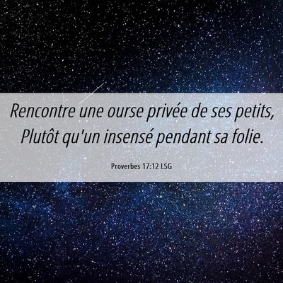 Picture 06 - Proverbes 17:12 LSG - Rencontre une ourse privée de ses petits, - Bible Verse Picture