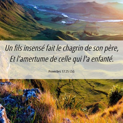 Picture 06 - Proverbes 17:25 LSG - Un fils insensé fait le chagrin de son père, Et - Bible Verse Picture