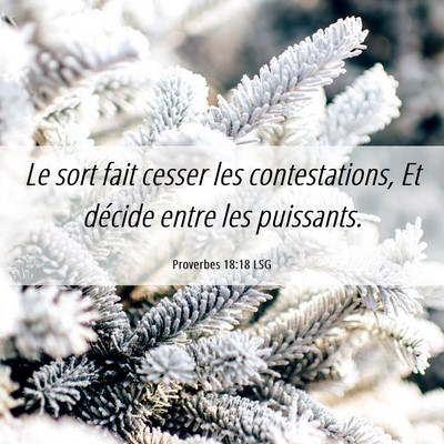 Picture 06 - Proverbes 18:18 LSG - Le sort fait cesser les contestations, Et décide - Bible Verse Picture