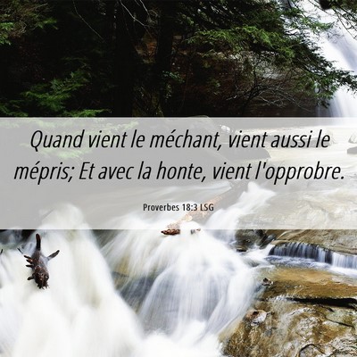Picture 06 - Proverbes 18:3 LSG - Quand vient le méchant, vient aussi le mépris; - Bible Verse Picture