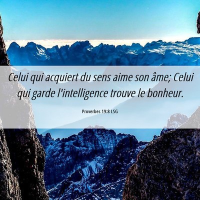 Picture 06 - Proverbes 19:8 LSG - Celui qui acquiert du sens aime son âme; Celui - Bible Verse Picture