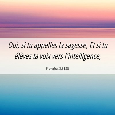 Picture 06 - Proverbes 2:3 LSG - Oui, si tu appelles la sagesse, Et si tu élèves - Bible Verse Picture