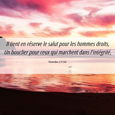 Picture 06 - Proverbes 2:7 LSG - Il tient en réserve le salut pour les hommes - Bible Verse Picture