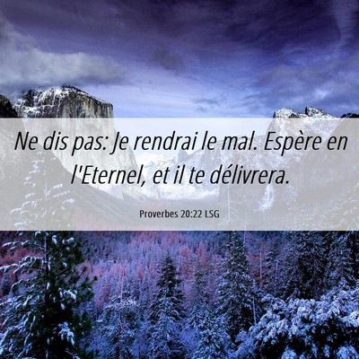 Picture 06 - Proverbes 20:22 LSG - Ne dis pas: Je rendrai le mal. Espère en - Bible Verse Picture