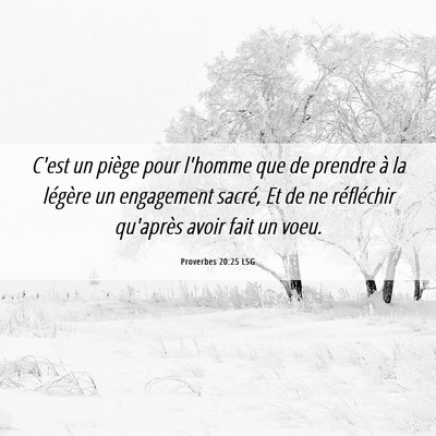 Picture 06 - Proverbes 20:25 LSG - C'est un piège pour l'homme que de prendre à la - Bible Verse Picture