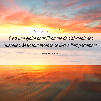 Picture 06 - Proverbes 20:3 LSG - C'est une gloire pour l'homme de s'abstenir des - Bible Verse Picture