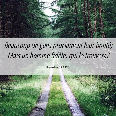 Picture 06 - Proverbes 20:6 LSG - Beaucoup de gens proclament leur bonté; Mais un - Bible Verse Picture