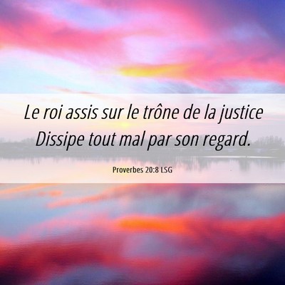 Picture 06 - Proverbes 20:8 LSG - Le roi assis sur le trône de la justice Dissipe - Bible Verse Picture