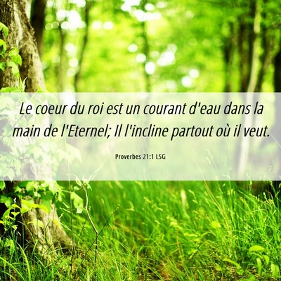 Picture 06 - Proverbes 21:1 LSG - Le coeur du roi est un courant d'eau dans la main - Bible Verse Picture
