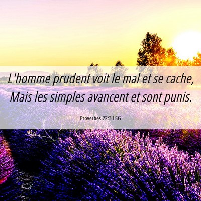 Picture 06 - Proverbes 22:3 LSG - L'homme prudent voit le mal et se cache, Mais les - Bible Verse Picture
