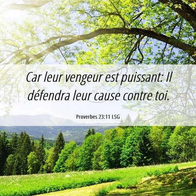 Picture 06 - Proverbes 23:11 LSG - Car leur vengeur est puissant: Il défendra leur - Bible Verse Picture