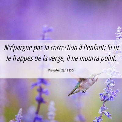 Picture 06 - Proverbes 23:13 LSG - N'épargne pas la correction à l'enfant; Si tu - Bible Verse Picture