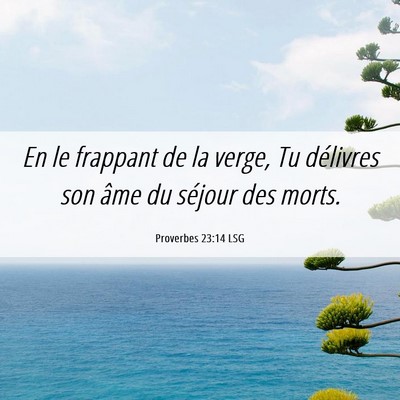 Picture 06 - Proverbes 23:14 LSG - En le frappant de la verge, Tu délivres son âme - Bible Verse Picture