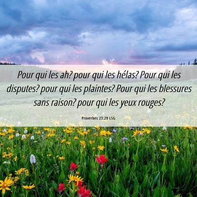 Picture 06 - Proverbes 23:29 LSG - Pour qui les ah? pour qui les hélas? Pour qui - Bible Verse Picture