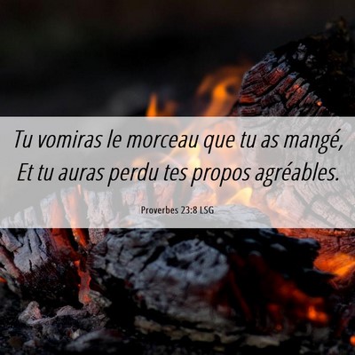 Picture 06 - Proverbes 23:8 LSG - Tu vomiras le morceau que tu as mangé, Et tu - Bible Verse Picture