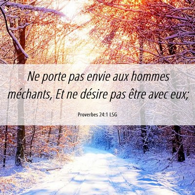 Picture 06 - Proverbes 24:1 LSG - Ne porte pas envie aux hommes méchants, Et ne - Bible Verse Picture