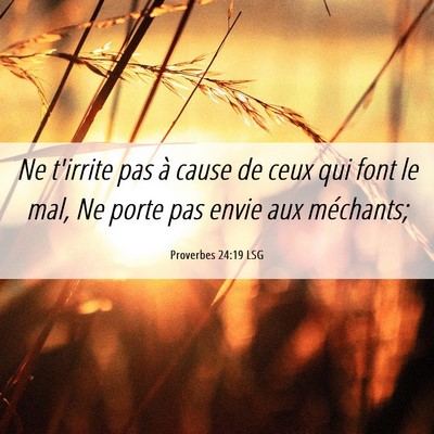 Picture 06 - Proverbes 24:19 LSG - Ne t'irrite pas à cause de ceux qui font le mal, - Bible Verse Picture