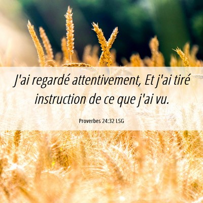 Picture 06 - Proverbes 24:32 LSG - J'ai regardé attentivement, Et j'ai tiré - Bible Verse Picture