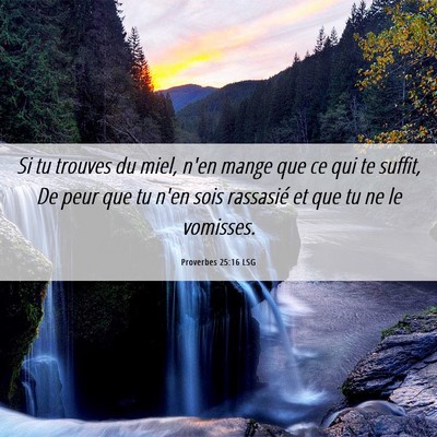 Picture 06 - Proverbes 25:16 LSG - Si tu trouves du miel, n'en mange que ce qui te - Bible Verse Picture